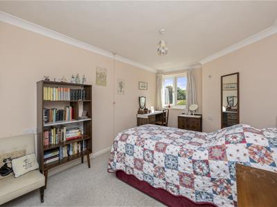 Picture 8
